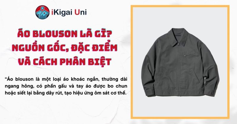 ao blouson la gi