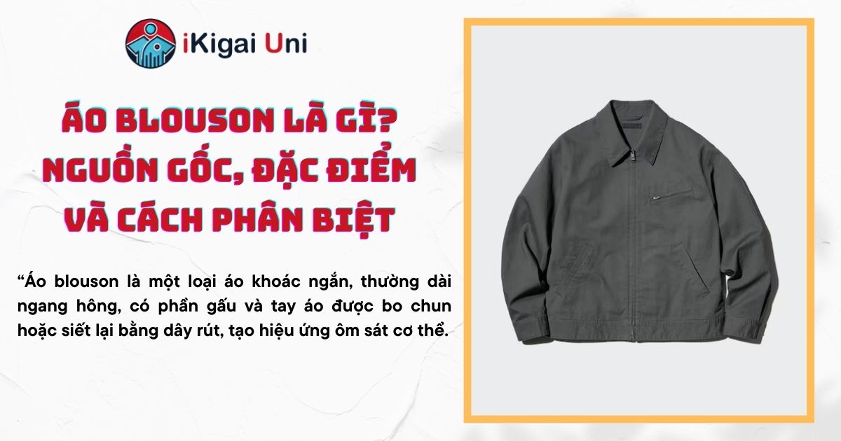 ao blouson la gi