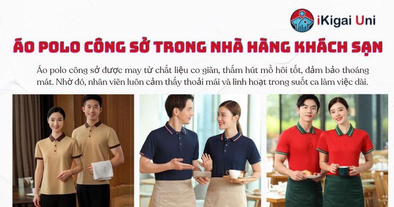 Áo polo công sở đa năng cho mọi ngành nghề Áo polo công sở tạo sự thoải mái trong quá trình làm việc