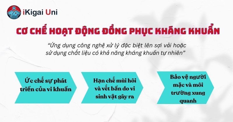 Đồng phục kháng khuẩn cho môi trường làm việc an toàn Cơ chế hoạt động đồng phục kháng khuẩn